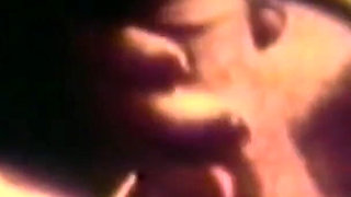 Disgusting Wild Sluts