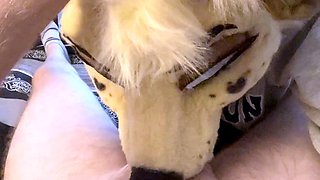 Pov amateur blowjob action