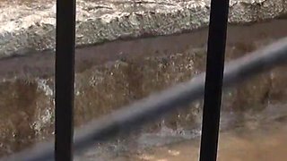 Pissing on the stairs