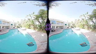 A Bbc Distraction For The Pool Boy