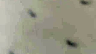 Amateur close up sucking fucking video