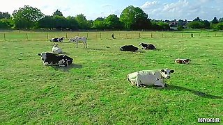 Hritires Ferme (2020)