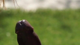 Isiah Maxwell gets his BBC sucked dry by hot babes outdoor