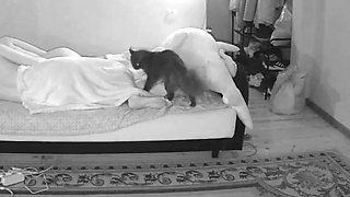 Innocent looking amateur teen brunette with