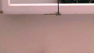Big Hole Free Amateur Webcam Porn Video Masturbation Camsex