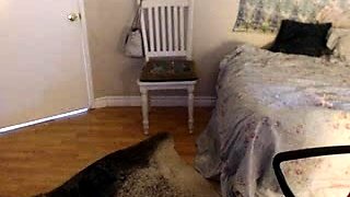 Glamour babe with big boobs masturbates in lingerie