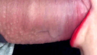 Sloppy Foreskin Sucking and Licking! Slow Blowjob Asmr 4K