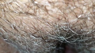 DaCaptainAndMimosa In TEASING HER PHAT HAIRY PUSSY