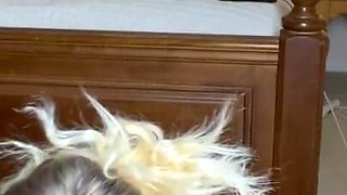POV BBW MILF Sucks Your Cock