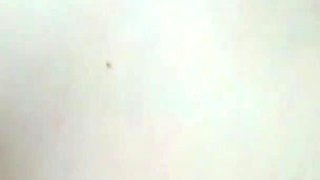 Chantilly sucks the lollipop then Luca Ferrero's big cock