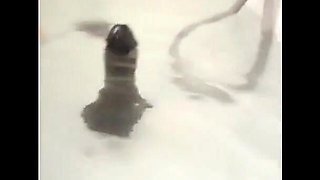 MILF Plays in the Tub with a Big Dildo