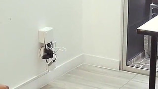 Student Desperate to Pass the Subject Fucks the Teacher