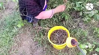 Married stepsister cheats on husband and gets fucked hard by her