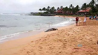 Aria Skye's Beach Orgasm: POV Fingering & Squirt