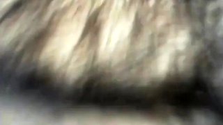 Hairy Bear Shows Off on Webcam