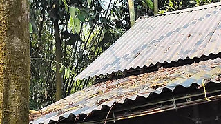 Silent beauty of my garden