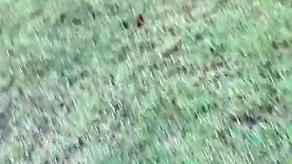 Karlyane Menezes Outdoors Blowjob And Doggy Fuck Onlyfans