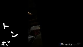 ckfvcvklbvckbkmvclkbkxzzcxzcxz-maruhi