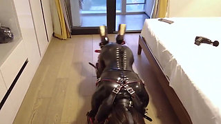 Mz12 - Latex-bound Puppy Vibrates to Reach Orgasm