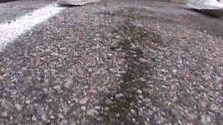 Amateur 18yo Webcam Teen New 9