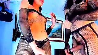 Shemale tranny amateur anally fucked by this lulcky guy
