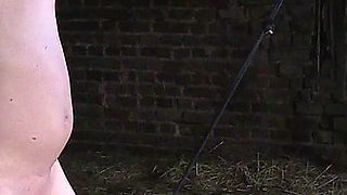 Extreme CBT and Ballbusting