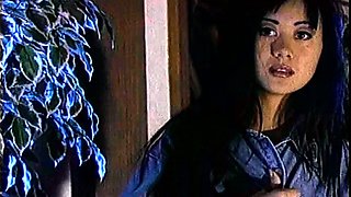 Some Hardcore Pornstar Clips