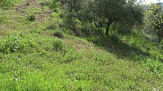American cuckold wife visits a nudist colony in Italy