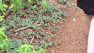 Walk in the Woods Who I Meet Today