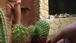 Humiliated and pressed cock into the cactus