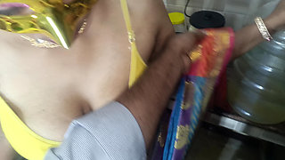 Housewife romance with pattu saree