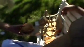 Camera Man - Estelles Dream Come True