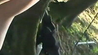 Humiliating hanging and anal penetrated in the forest