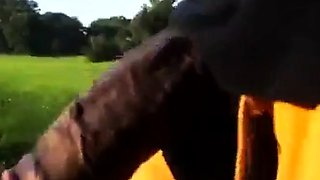 Big Black Cocks Outdoors