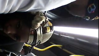 Brain's Blowjob on the Bus
