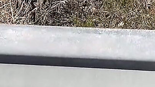 Blowjob in the Middle of the Street with Cum on Her Face