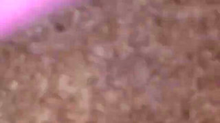 First time sex with Newly married causin brother wife in evening
