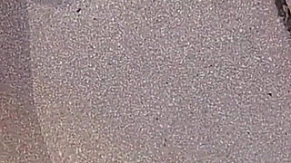 Traveling Redbone with Pretty Red's in South Beach