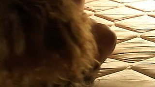 Glamour babe lesbian oral pleasure and fingering fun