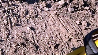 Let It Flow VII BIG toy edition Black and Ebony