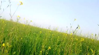 Abida Parveen Gets Fucked Hard in Khet, Then Stopped When Someone Comes
