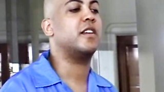 Fancy bit's married trailer