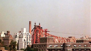 British brunette young amateur blowjob