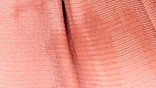 4503619