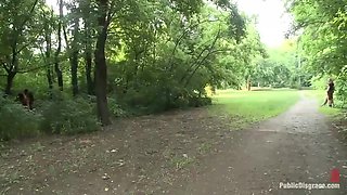 Zenza Raggi And Niki Sweet - Fucked On A City Bus