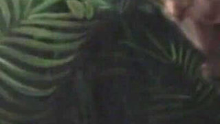 Asian Top Beautiful Models Horny Exciting Strip Tease Vol 6