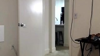 CIMA black and ebony