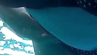 Are you interested to see flashing boobs and pussy in unusual places? I show them underwater! Very special view