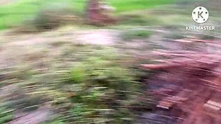 Brother-in-Law Fucks New Sister-in-Law Hard in Mustard Field - Outdoor Anal Sex with Indian Bhabhi