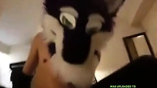 Femboy Bareback Creamed Adventure
